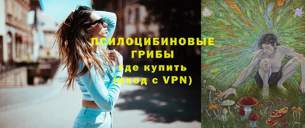 бошки Туринск