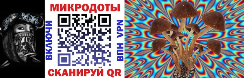 Купить закладки  Елизаветинская  Галлюциногенные грибы Cubensis 